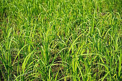 《艰难攀爬游戏》登陆Steam 致敬壶男伸腿版